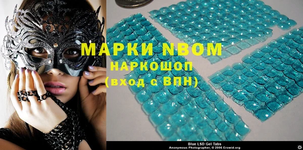мдпв Инта