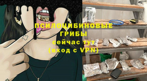 мдпв Инта