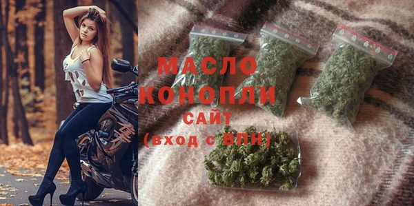 мдпв Инта