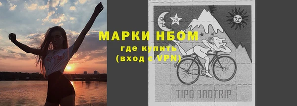 ГАЛЛЮЦИНОГЕННЫЕ ГРИБЫ Инсар