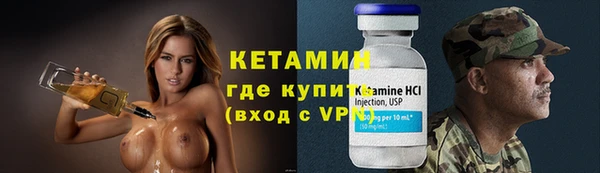 ГАЛЛЮЦИНОГЕННЫЕ ГРИБЫ Инсар