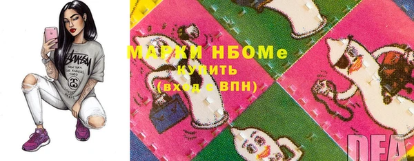 мдпв Инта