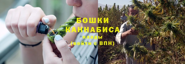 мдпв Инта