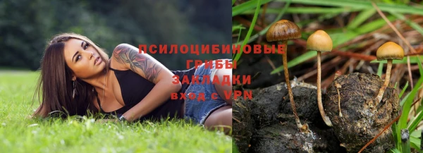 мдпв Инта